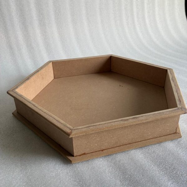 Hexagon Tray (4 pcs Set) for Any Function